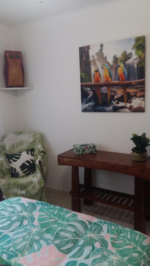 Appartement F3 Valescure Saint-Raphaël Zewnętrze zdjęcie